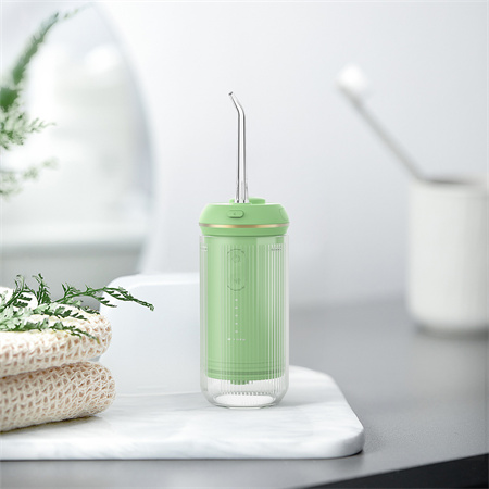 Water Flosser 4-Speed Pulse Water Jet Tooth Washer 310ml Water Flosser Electric Toothbrush Daily