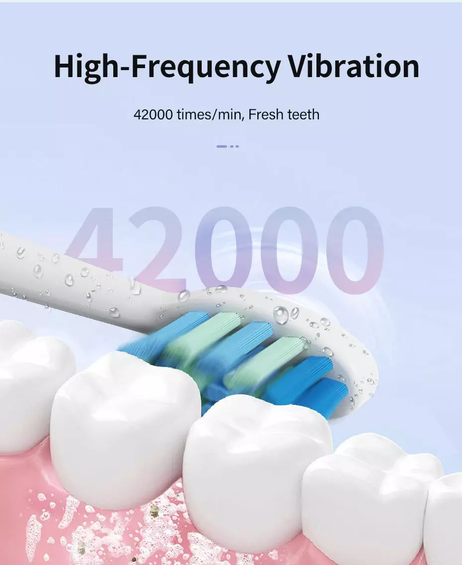 Custom USB Rechargeable Travel IPX7 Sonic Adults Electric Toothbrush